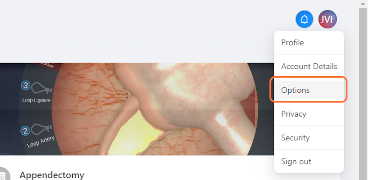 Click on Options