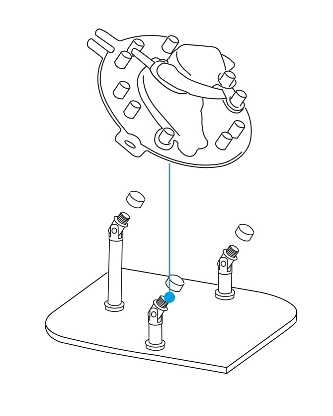 Step 12
