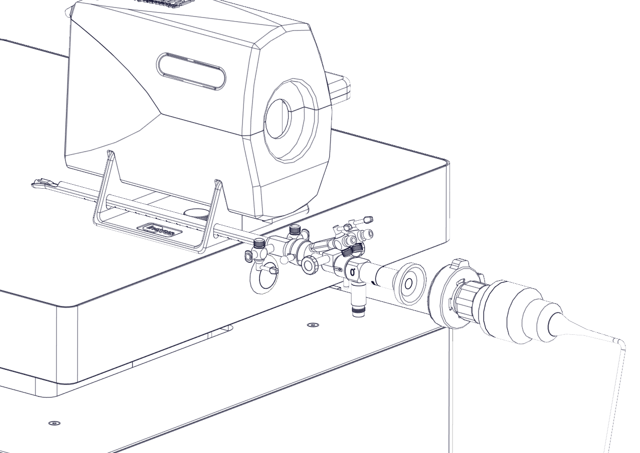 Step 19