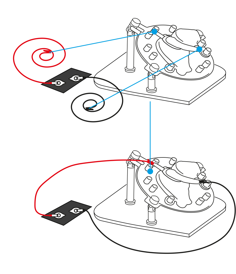 Step 15